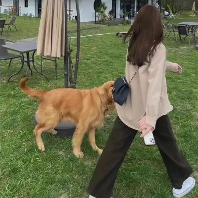姐姐死了